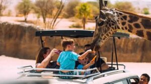 Top 5 Wildlife Parks and Zoos in UAE 2026